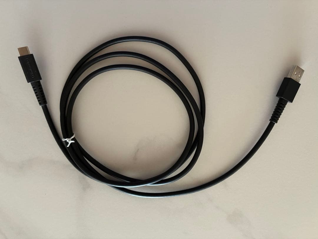 Nintendo Switch 本体＋プロコン｜Joy-Con青不具合あり