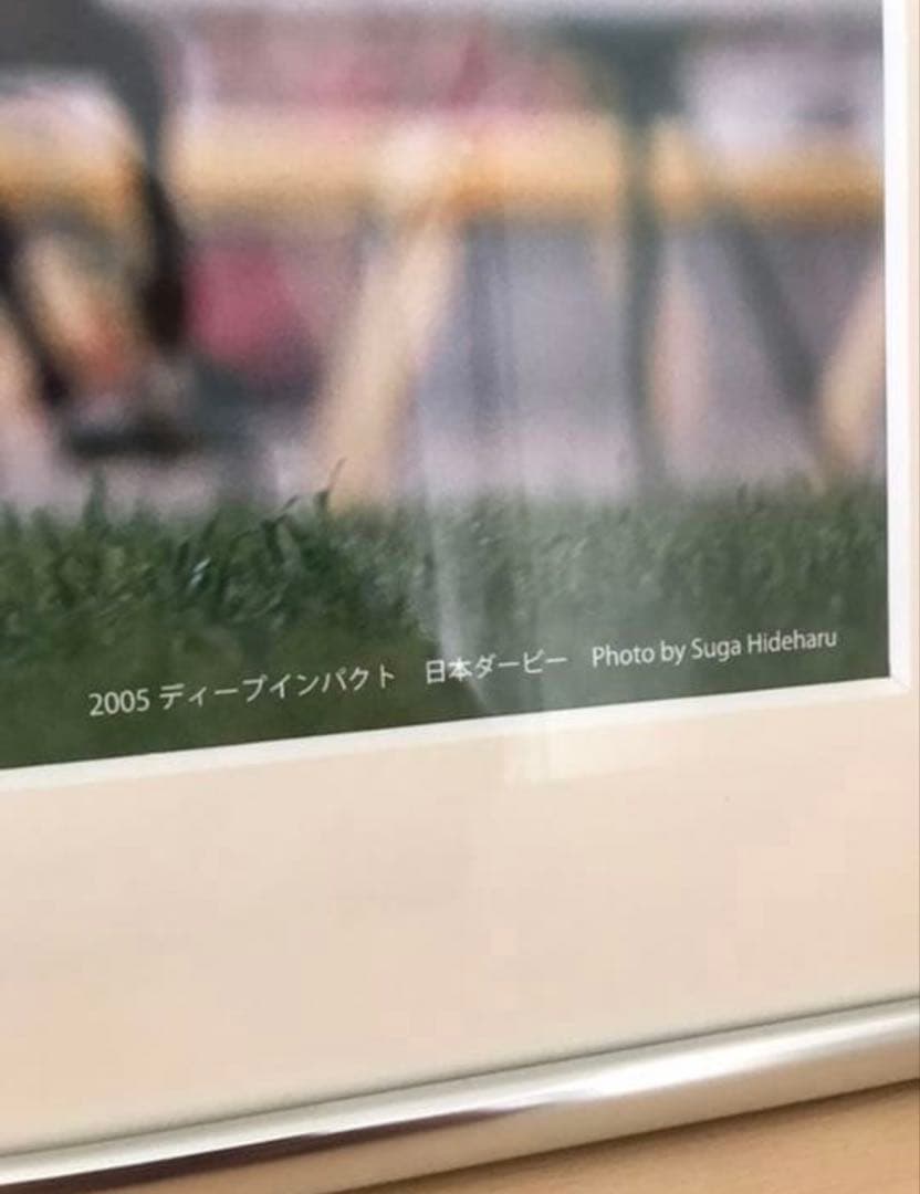 競馬　武豊　ディープインパクト　展示写真パネル　直筆サイン入り　武豊展