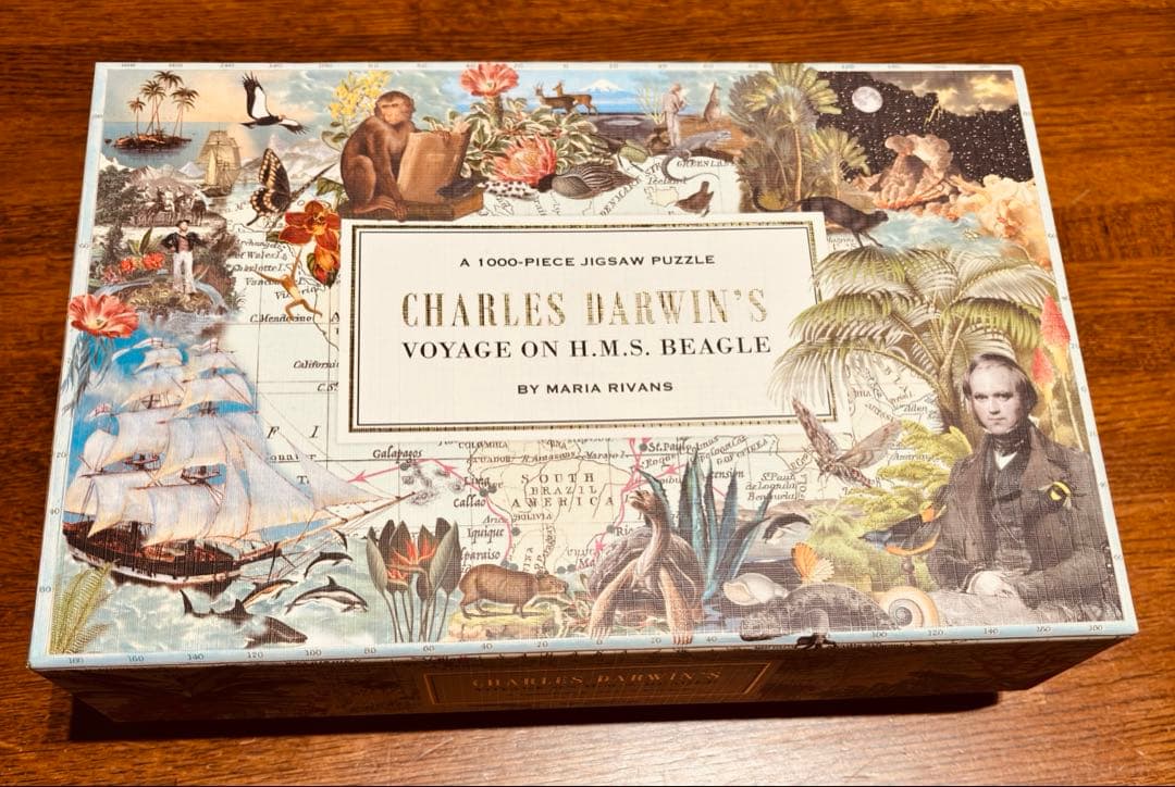 大英博物館　チャールズ・ダーウィン　ジグソーパズル　1000ピース