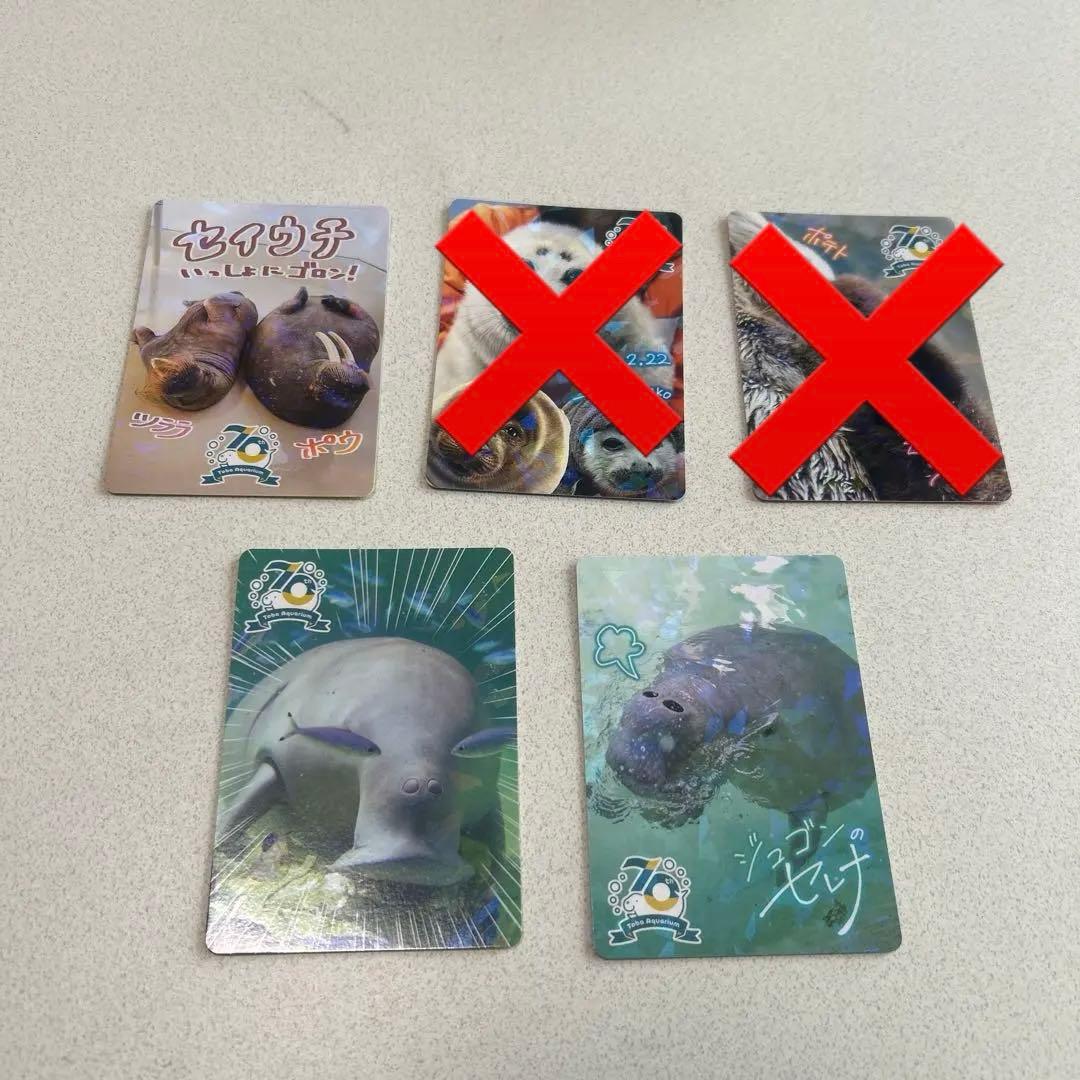 鳥羽水族館 70周年記念トレーディングカード レアカード3枚セット