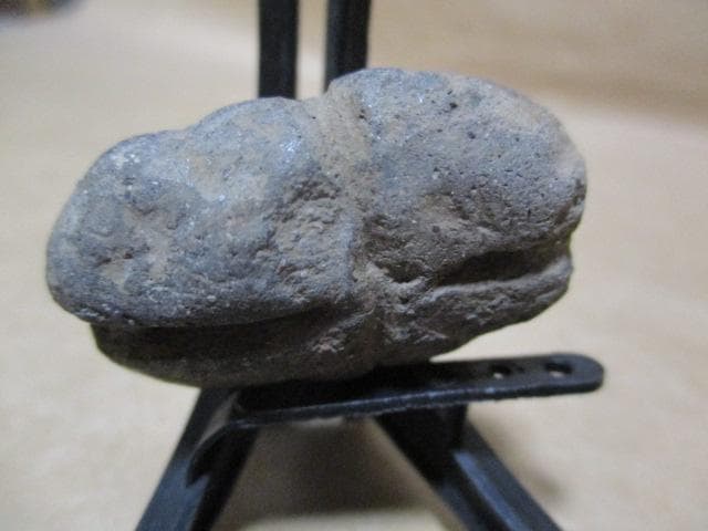 縄文土器　小動物？昆虫？珍品　箱付き　R99-2