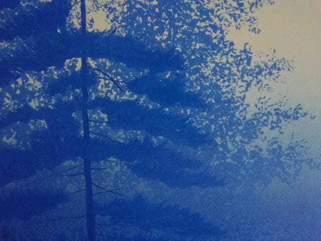 千住博、【デネブ】、希少な額装用画集より、新品額装付、状態良好