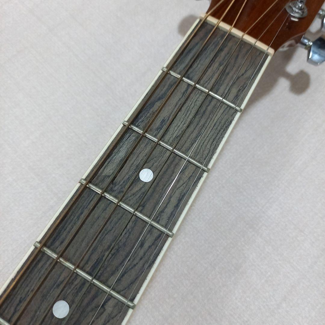 HONEY BEE アコースティックギター F-15/N ナチュラル