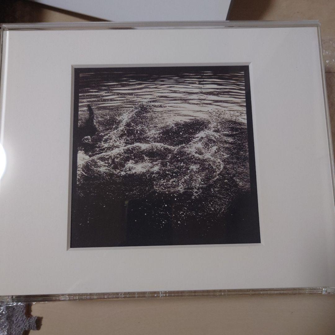 落合陽一写真集 質量への憧憬