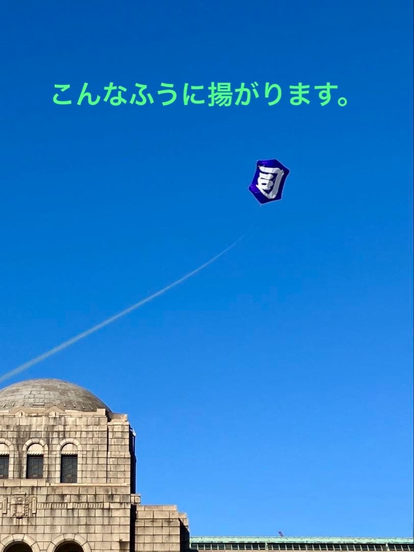 カイト　糸巻き付き　和凧　実際に揚がる　手描き日本の伝統六角凧　揚げ方説明書あり