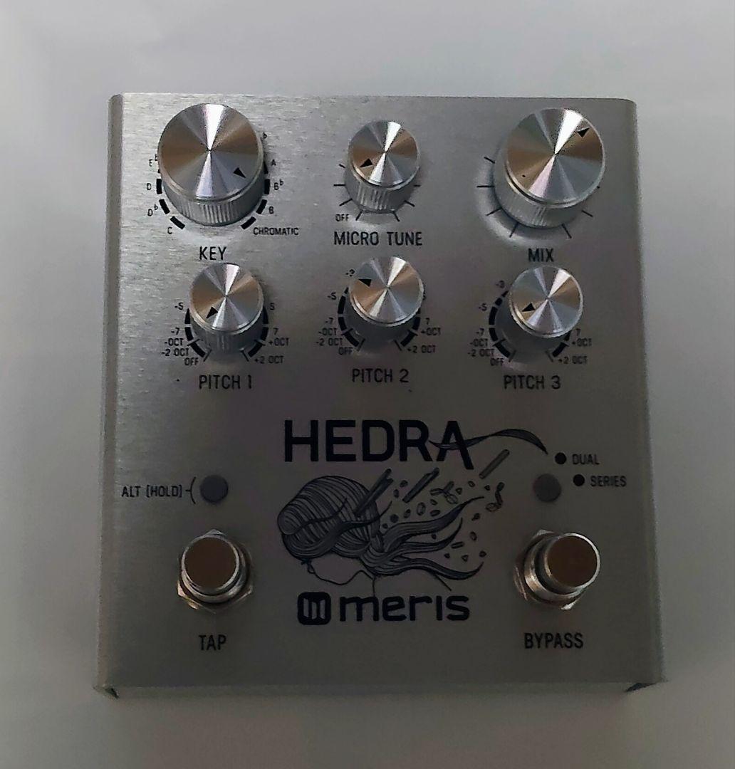ギター meris hedra