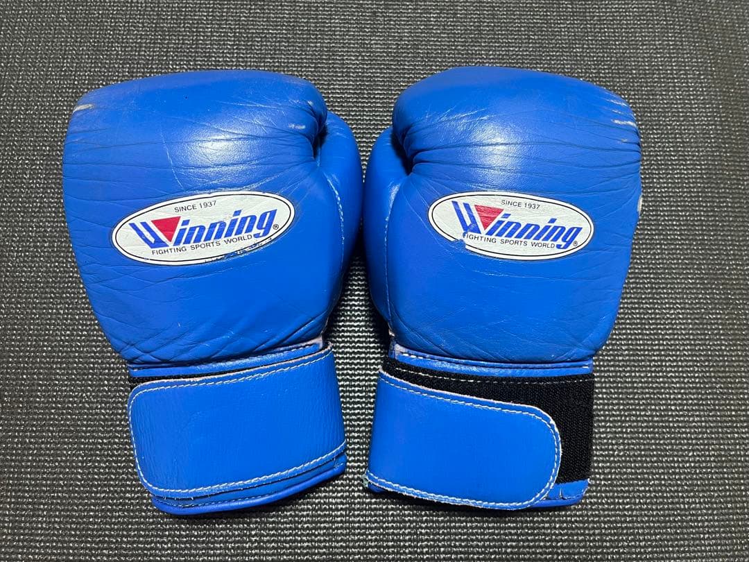Winning ボクシンググローブ 青 ボクシング練習用8oz マジックテープ式