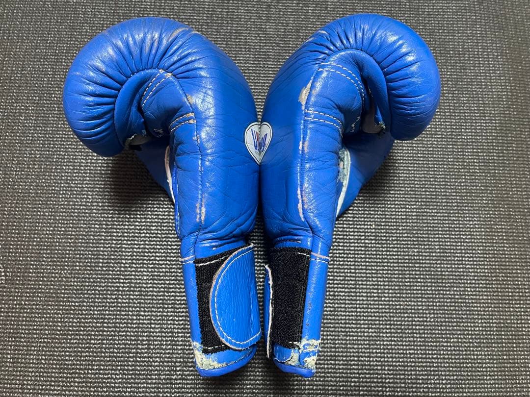 Winning ボクシンググローブ 青 ボクシング練習用8oz マジックテープ式
