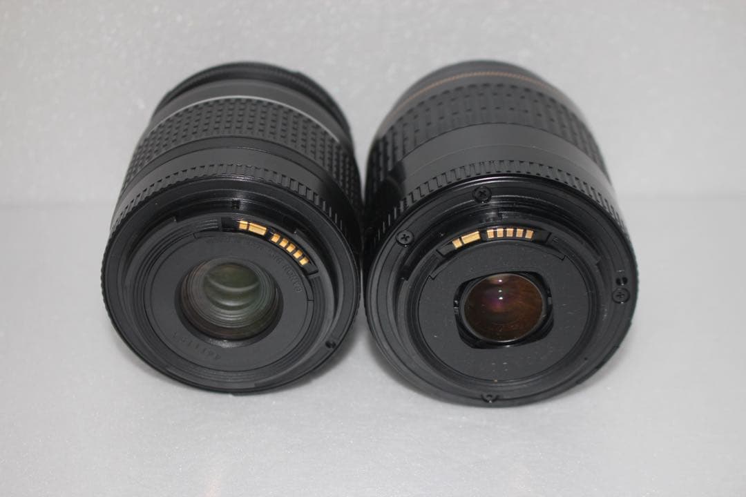 キャノン Canon EOS 9000D標準＆望遠ダブルレンズセット