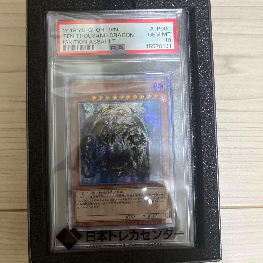 【psa10】万物創世竜