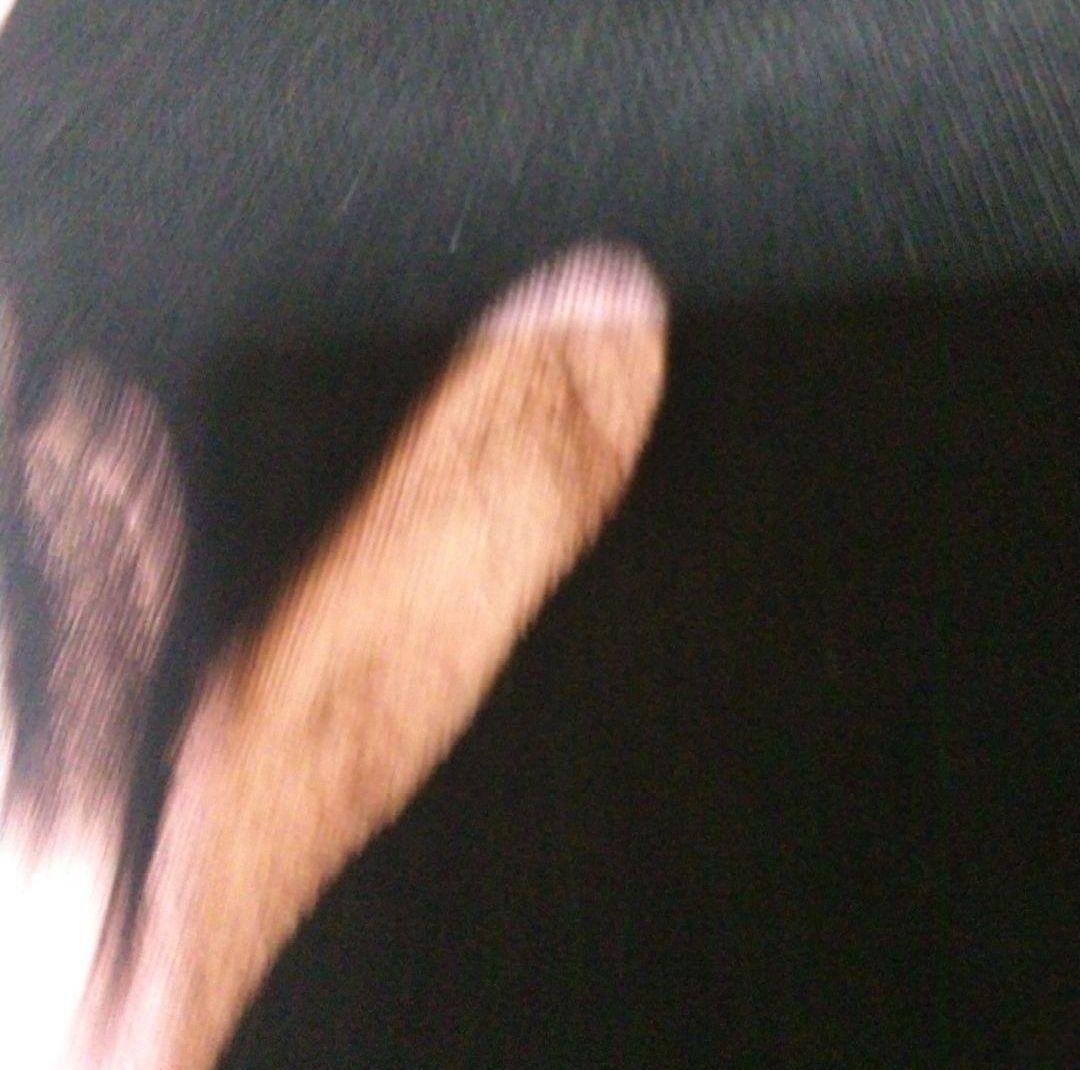 B'z Brotherhood Tシャツ ライブグッズ LIVE-GYM 99年