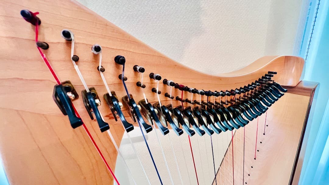 Dusty Strings FH26 アイリッシュハープ 状態良好 送料込！