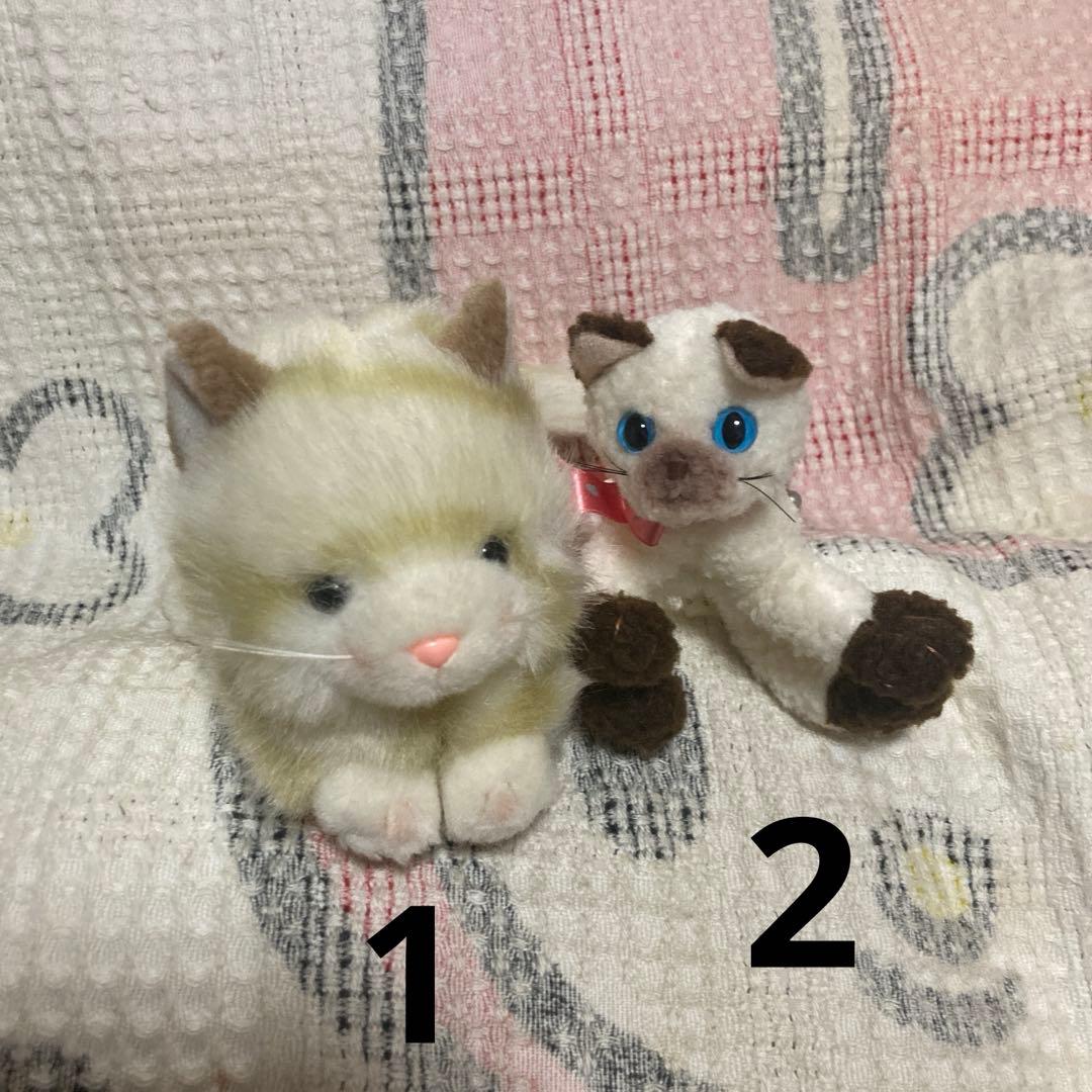 TAKENOKO joyful mates 猫　ぬいぐるみ＆マスコット　19こ