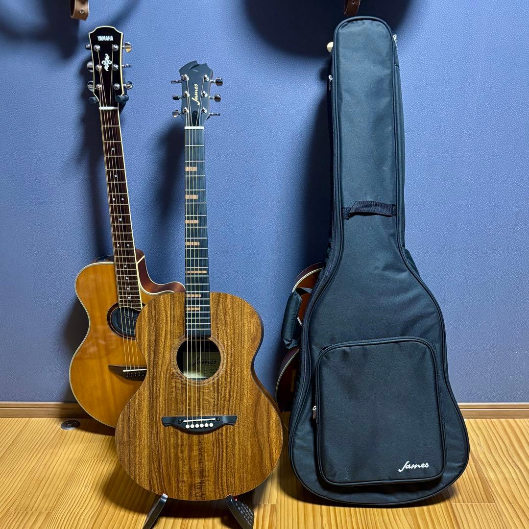 【美品】James アコースティックギターJ-100A MHT ギグケース付属