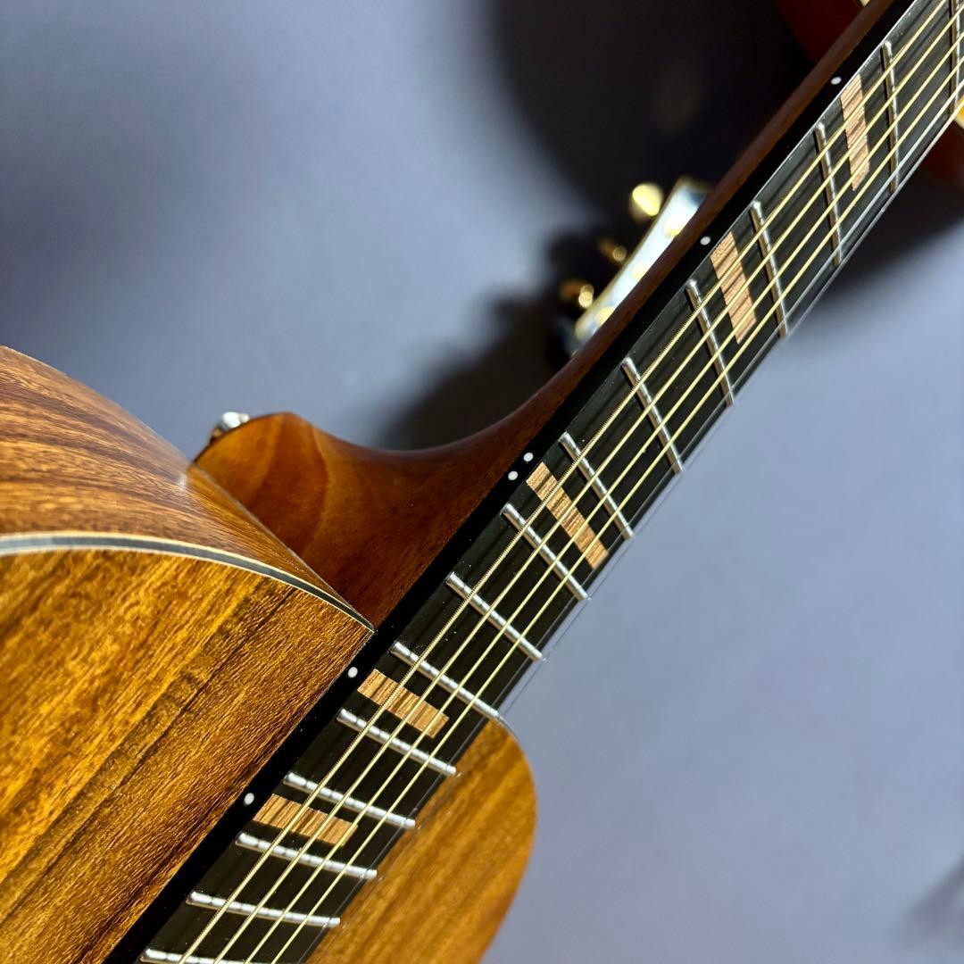 【美品】James アコースティックギターJ-100A MHT ギグケース付属