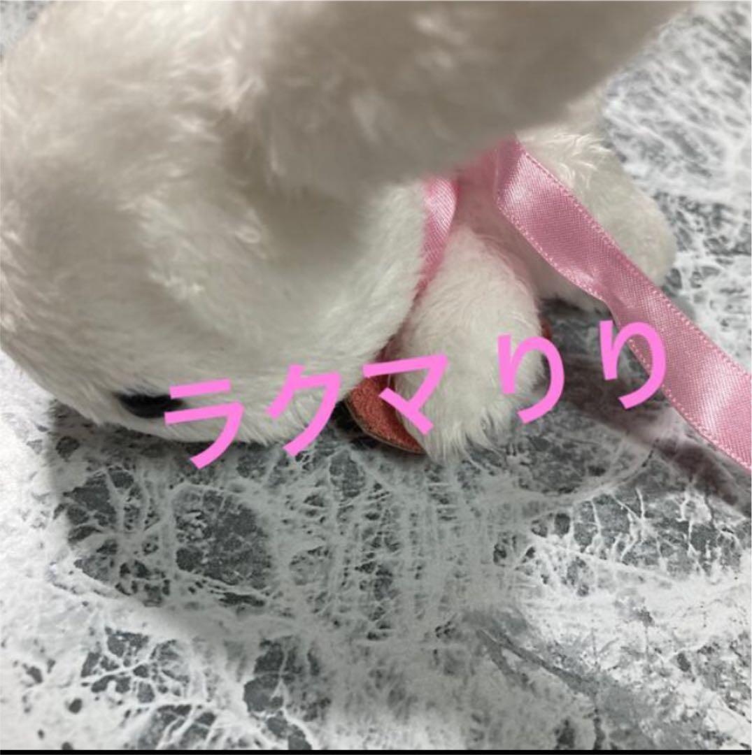 知念侑李　うさぎ　サイン