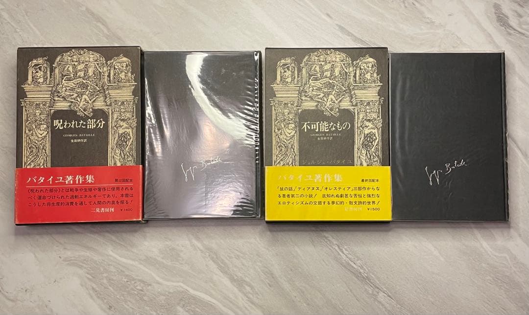 ジョルジュ・バタイユ著作集　10冊（全初版）