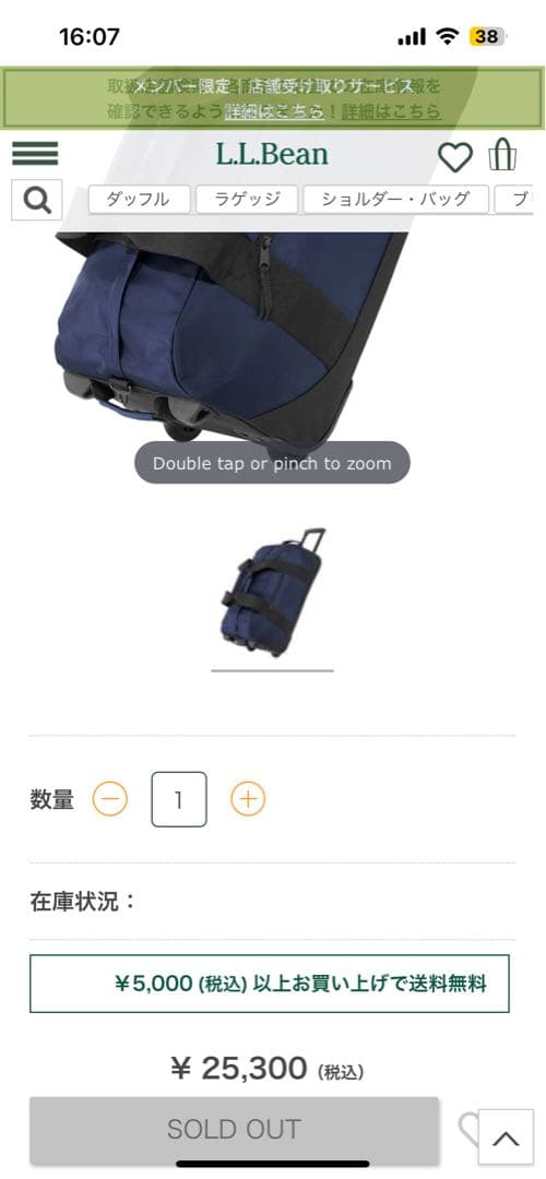 極希少LLBEAN ローリング　アドベンチャーダッフル キャリーバッグ　廃盤品