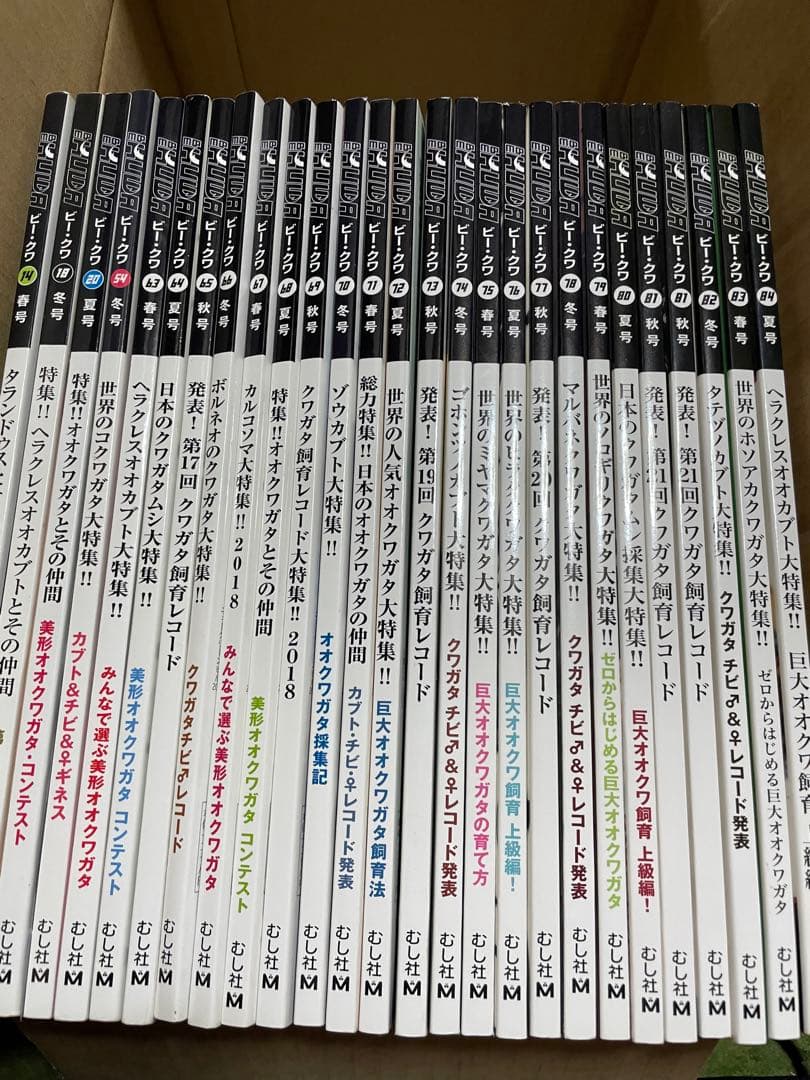 ビークワセット　他