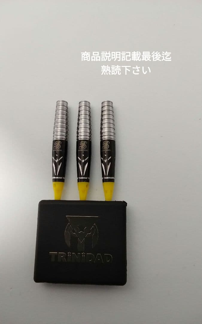 サングリアル!坂口優希恵!極美品!新品同品!付録未開封!ダーツセット