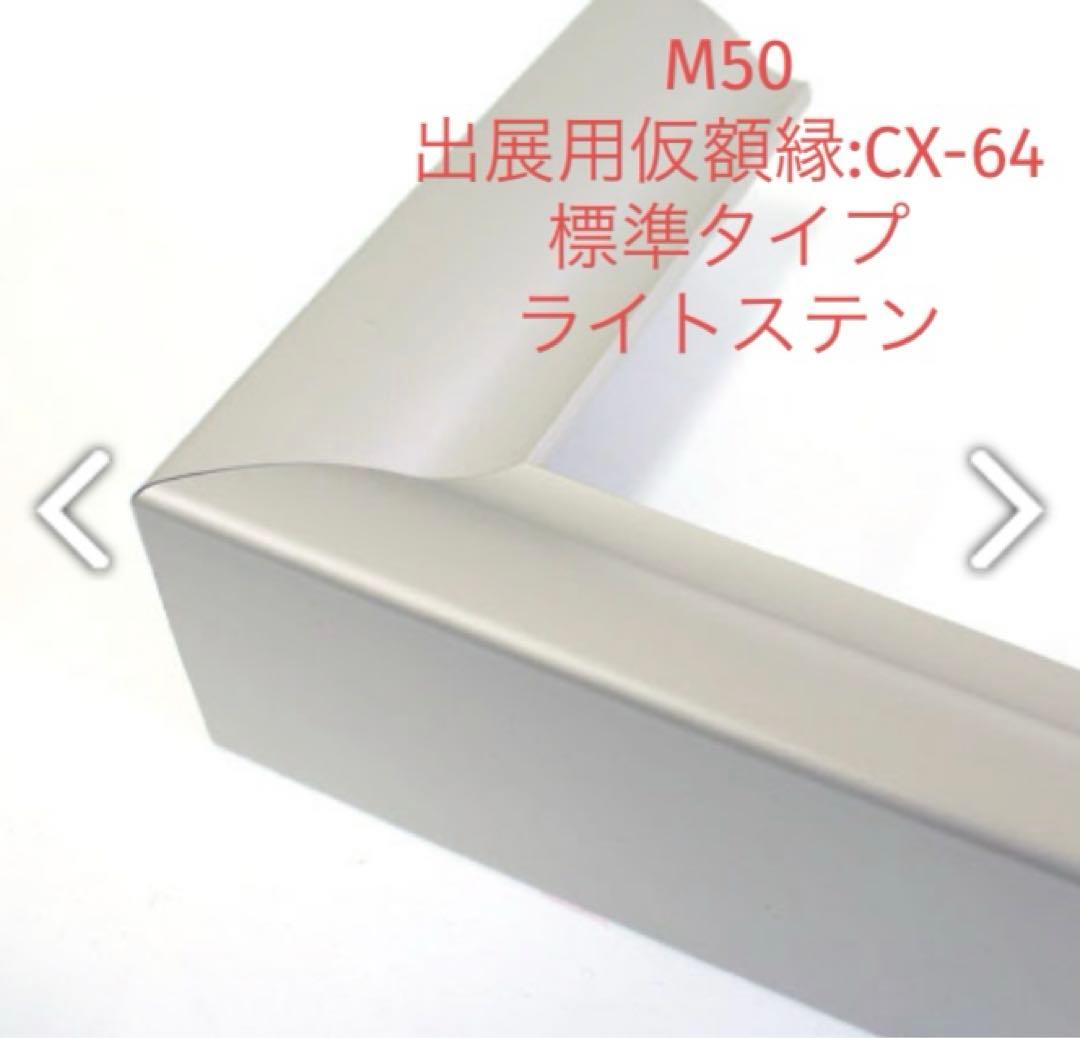中古　仮額縁：50M CX-64（CX64）標準タイプ