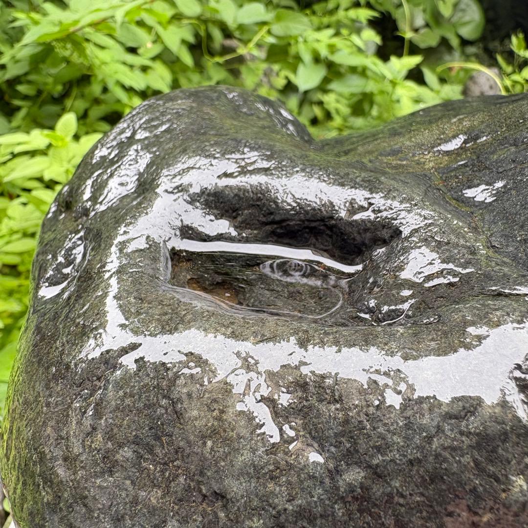 【お値下げ！希少 大型八海山石22.1kg ウブ石】アクアリウム 親石　ジャグレ