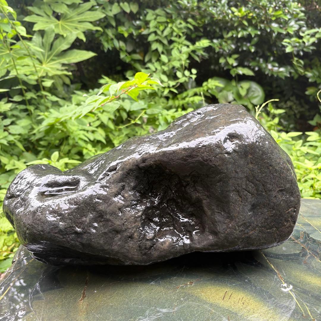 【お値下げ！希少 大型八海山石22.1kg ウブ石】アクアリウム 親石　ジャグレ