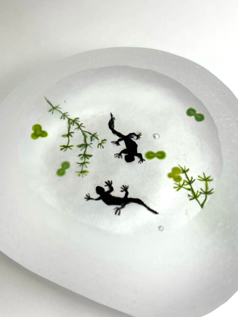 久保裕子さん作　ガラス　アカハライモリ　水草　ペーパーウェイト　文鎮　オブジェ