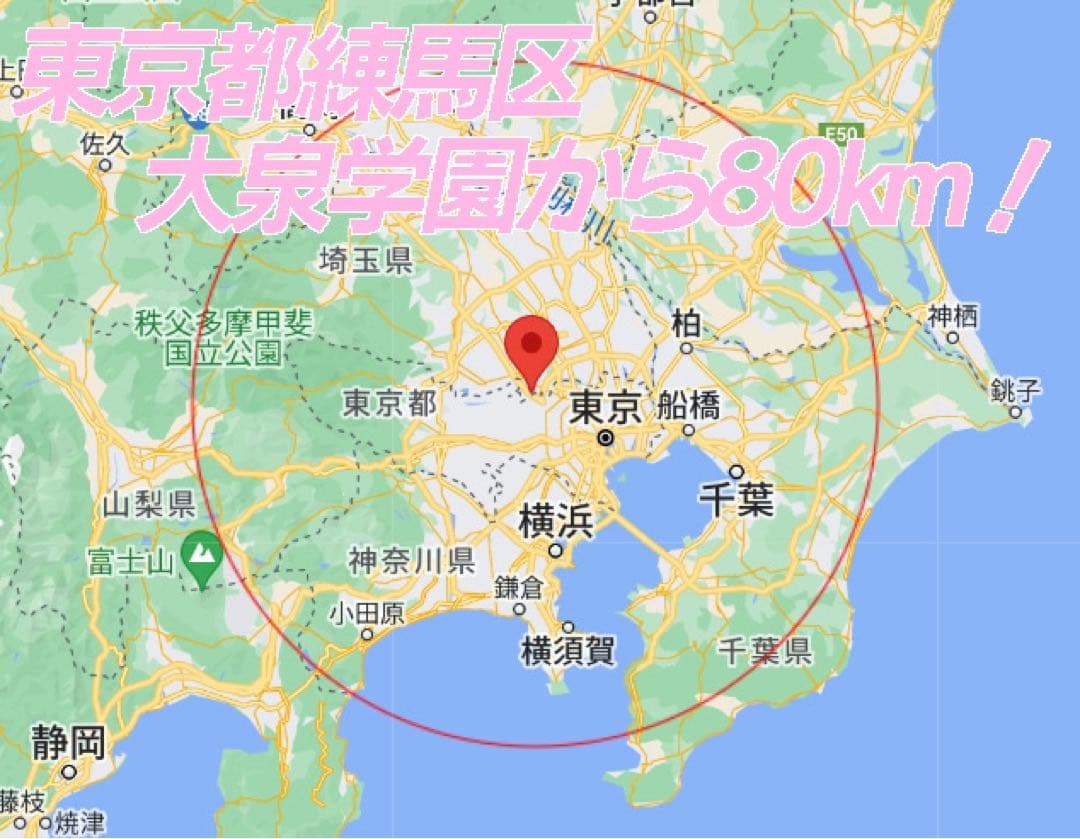 【深夜対応可】ペット用 高性能酸素発生器 MAF mini 1.5 酸素室