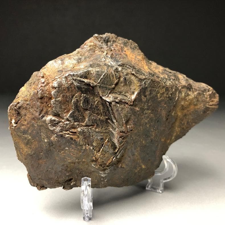 隕石 鉄隕石　アルタイ隕石　原皮付き　ナチュラル　原石　重さ約975ｇ　立て付き