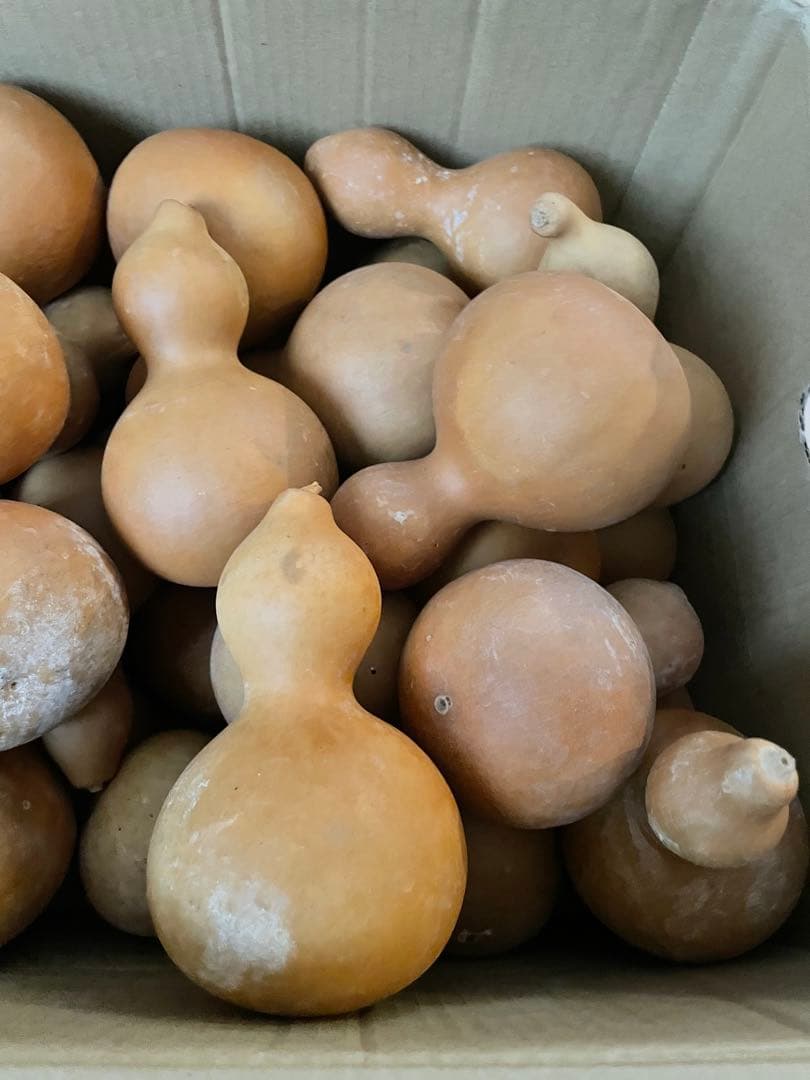 【40個】ひょうたん　瓢箪　千成瓢箪　まとめ売り　無病息災　置物　縁起物(I)