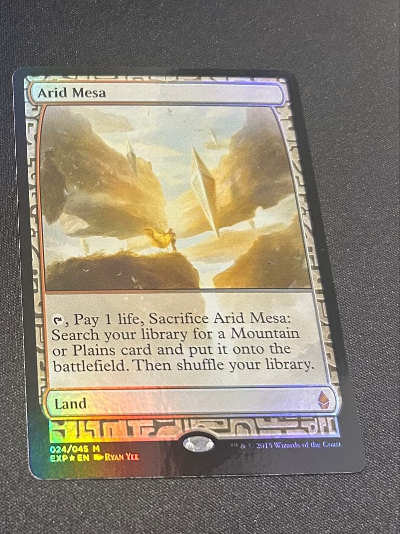 乾燥台地_FOIL_EXP