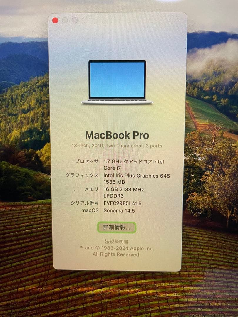 MacBook本体 Apple MacBook Pro 13-inch 16GB corei7