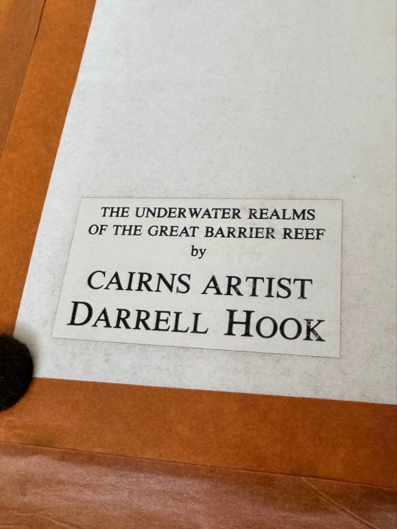 ダレル・フック　原画　オーストラリア　グレートバリアリーフ