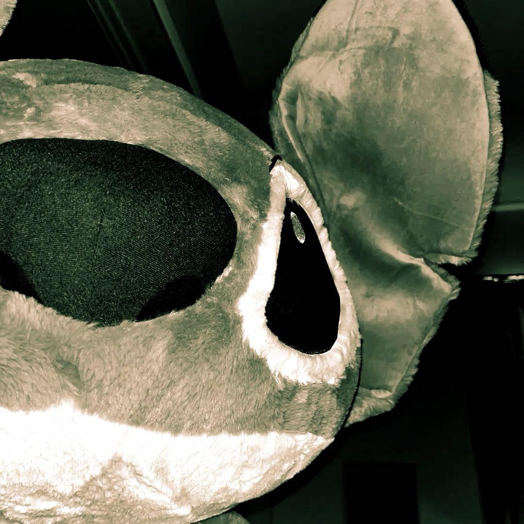 スティッチ コストコ　希望価格まで爆上げ中