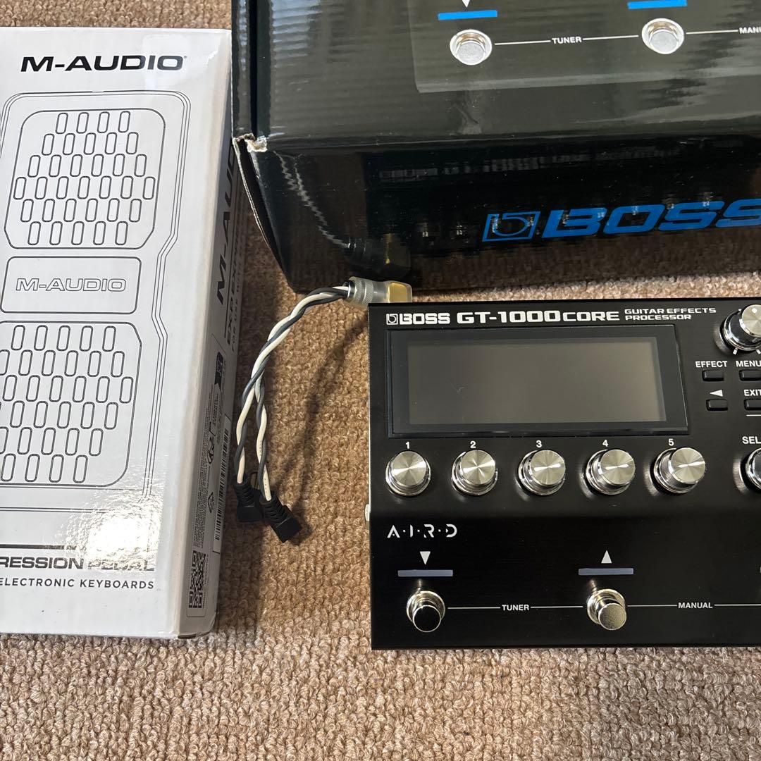 gt1000core (IR2つ付き) & オヤイデ ケーブル & expペダル
