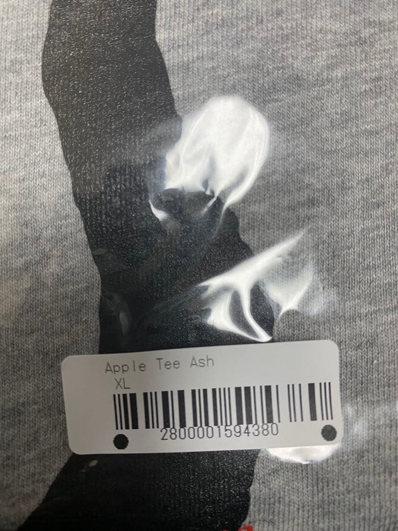 アイドル SOL soonerorlater APPLE TEE ASH XL