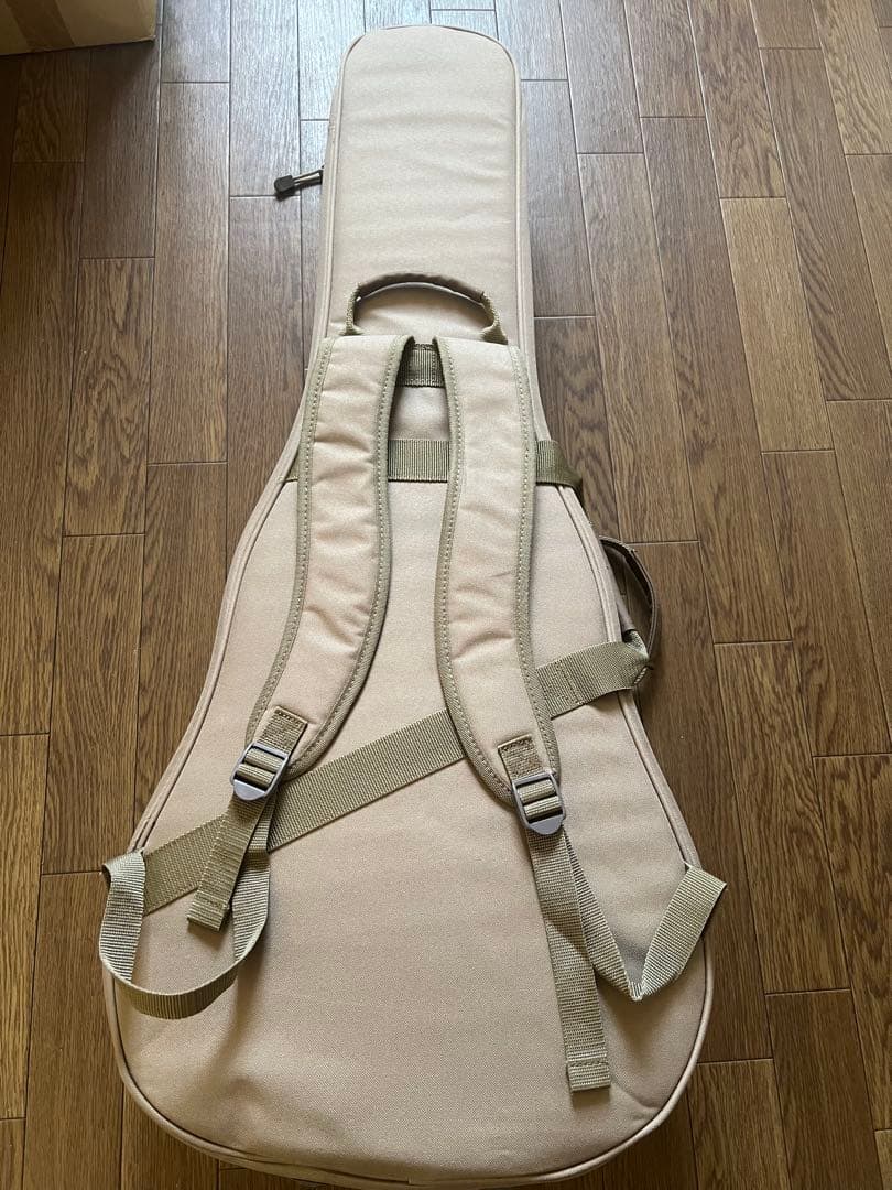 Taylor Guitars ( テイラーギター ) GS Mini-e