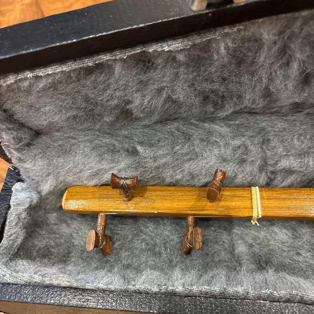 セタール　イラン　イスファハン　楽器　弦楽器　4弦