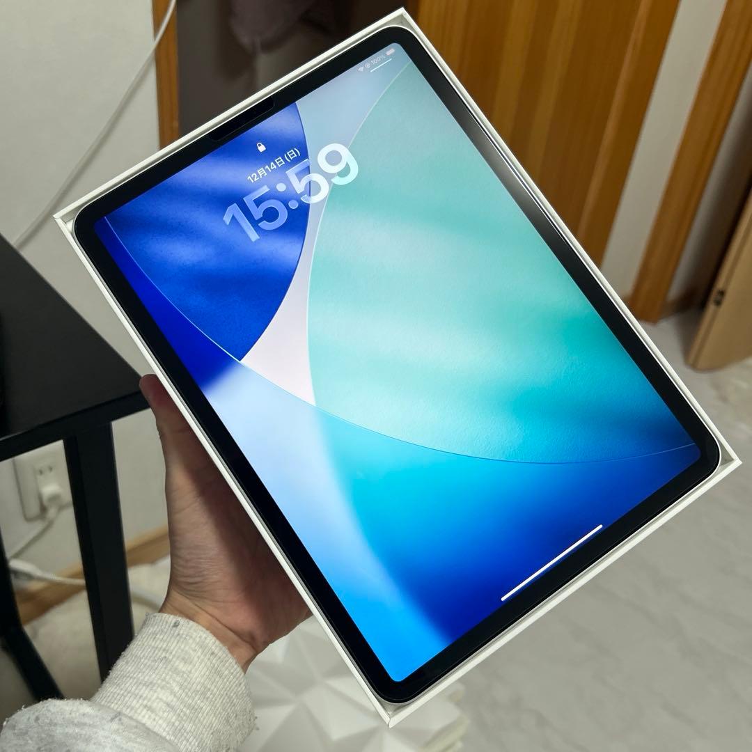 美品　iPad Pro 11インチ　第2世代　256GB Wi-Fiモデル