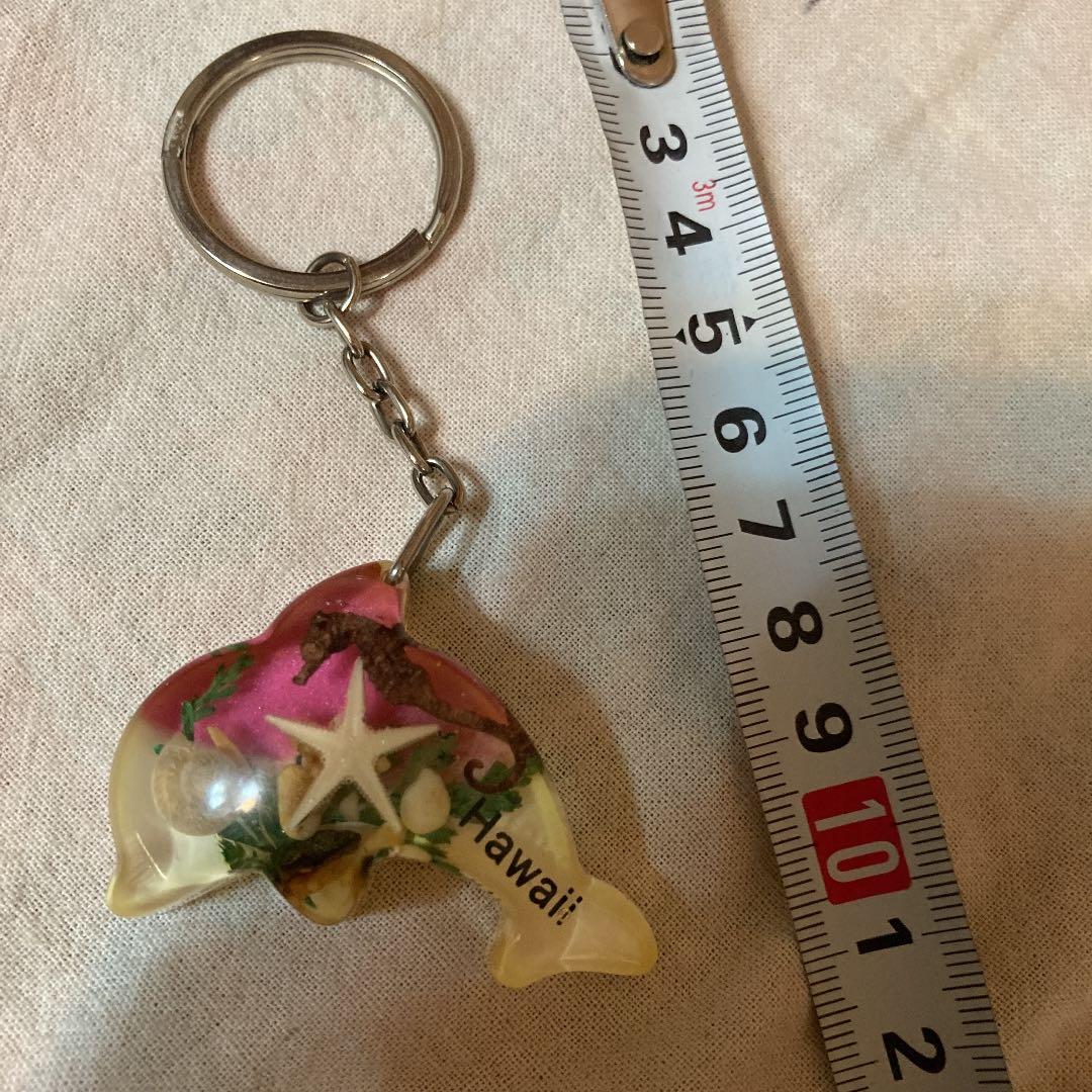 キーホルダー　Hawaii イルカ　タツノオトシゴ　貝　アクリル