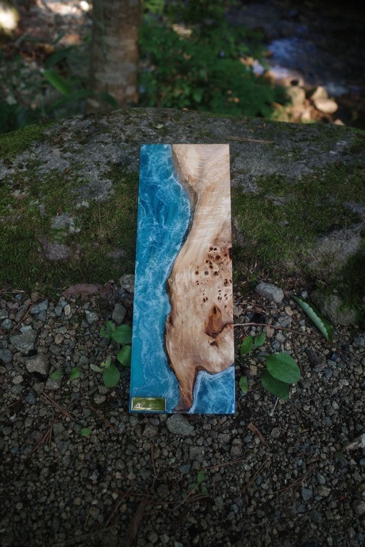 ocean liberty IGT ハーフユニット 2枚セット