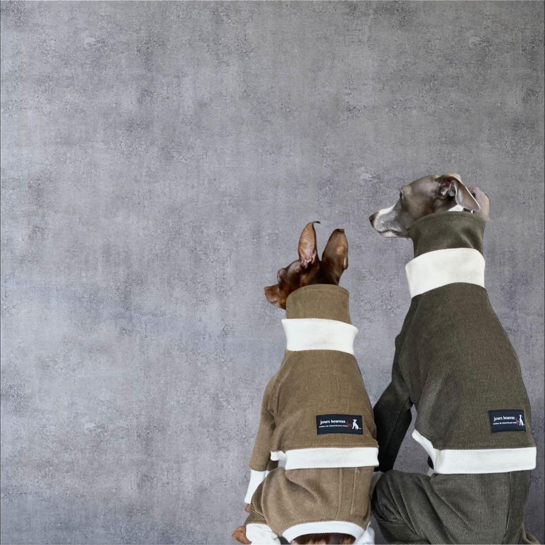 ⑪コーデュロイ イン パリ