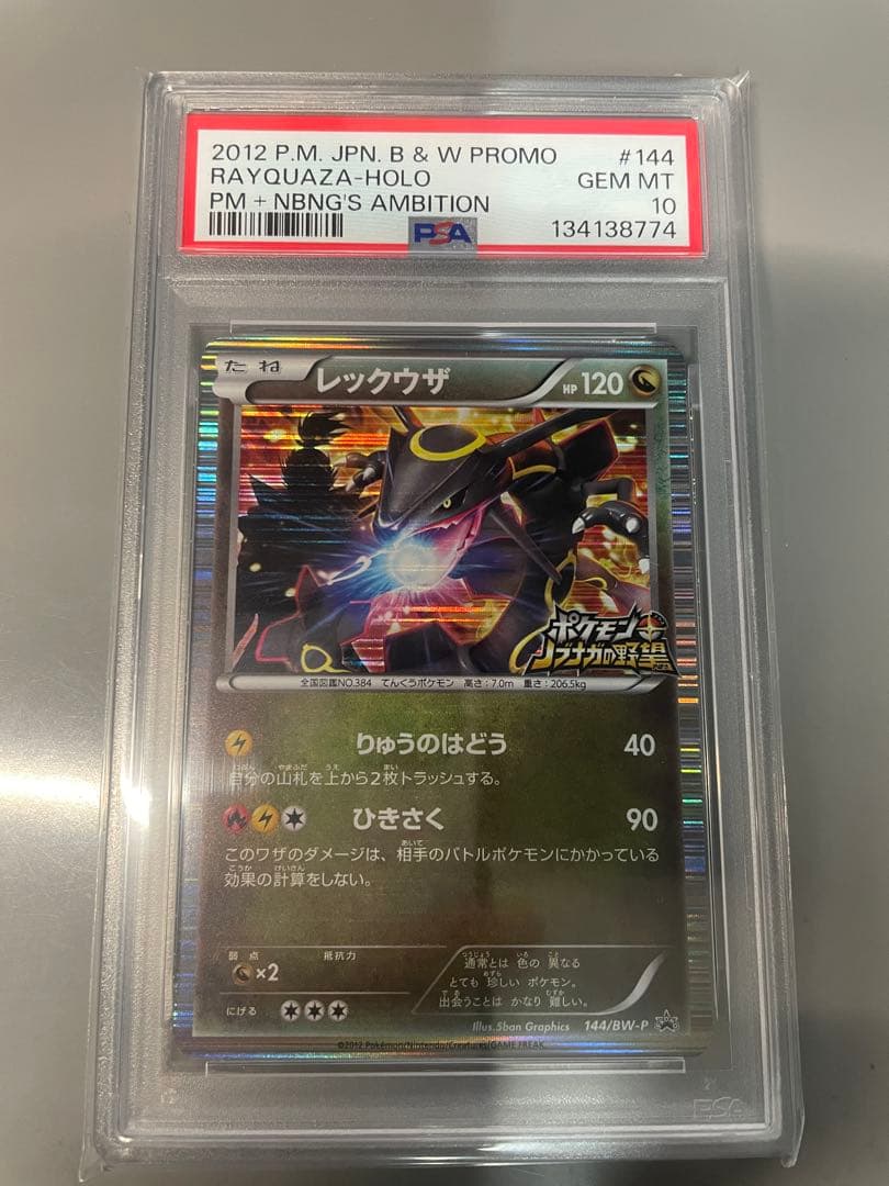 レックウザPSA10 信長の野望