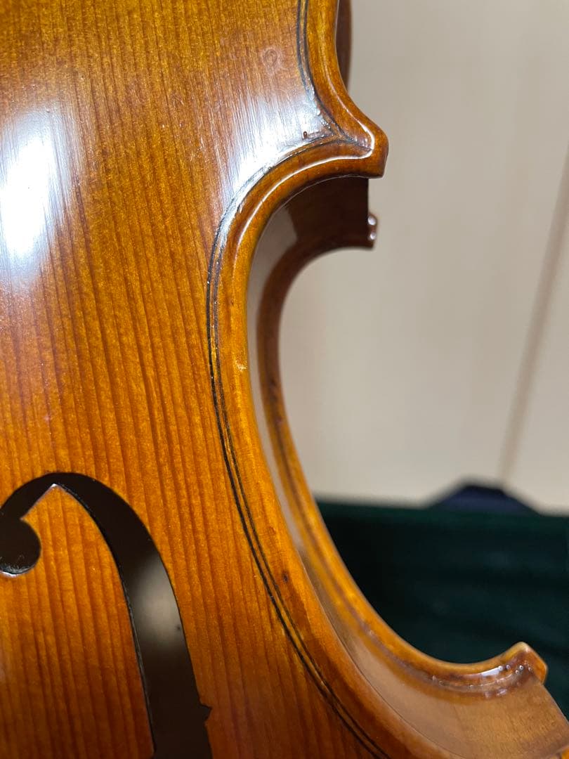 弦楽器 CARLO GIORDANO VS-2 4/4