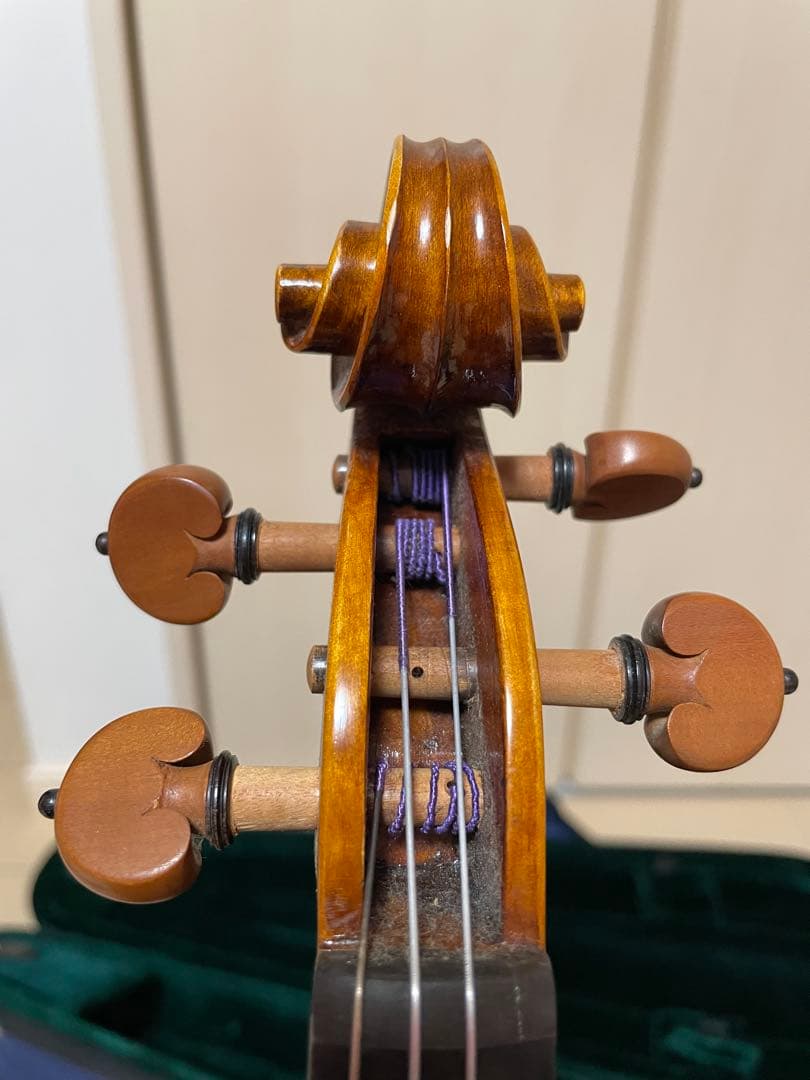 弦楽器 CARLO GIORDANO VS-2 4/4