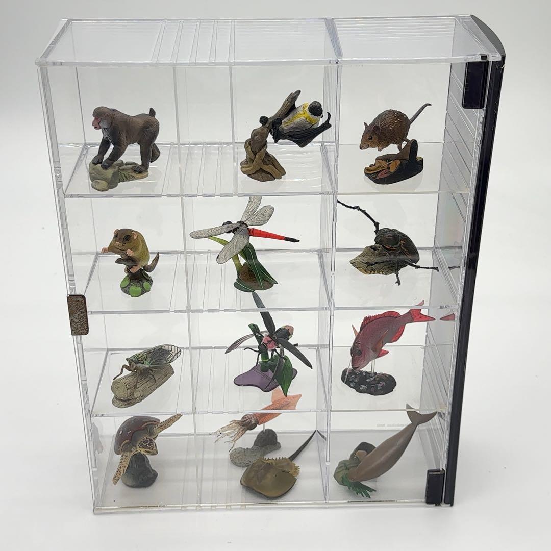 希少品 小学館 週刊 日本の天然記念物 52体セット まとめ売り