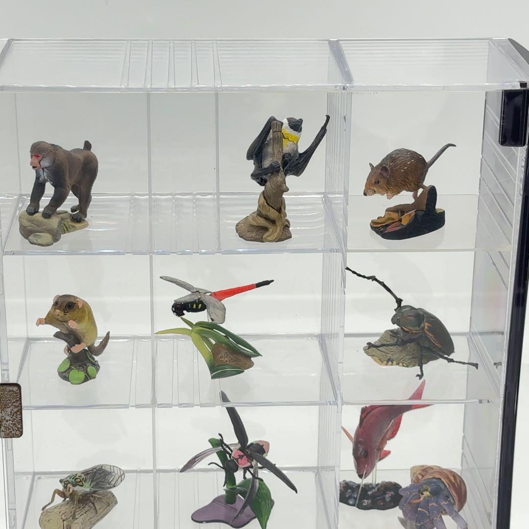 希少品 小学館 週刊 日本の天然記念物 52体セット まとめ売り