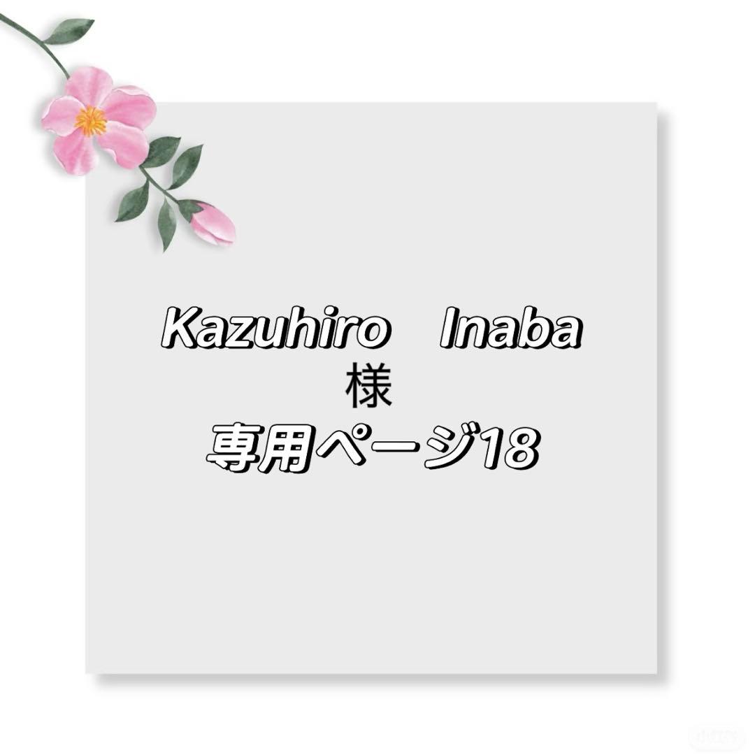 Kazuhiro Inabaページ18