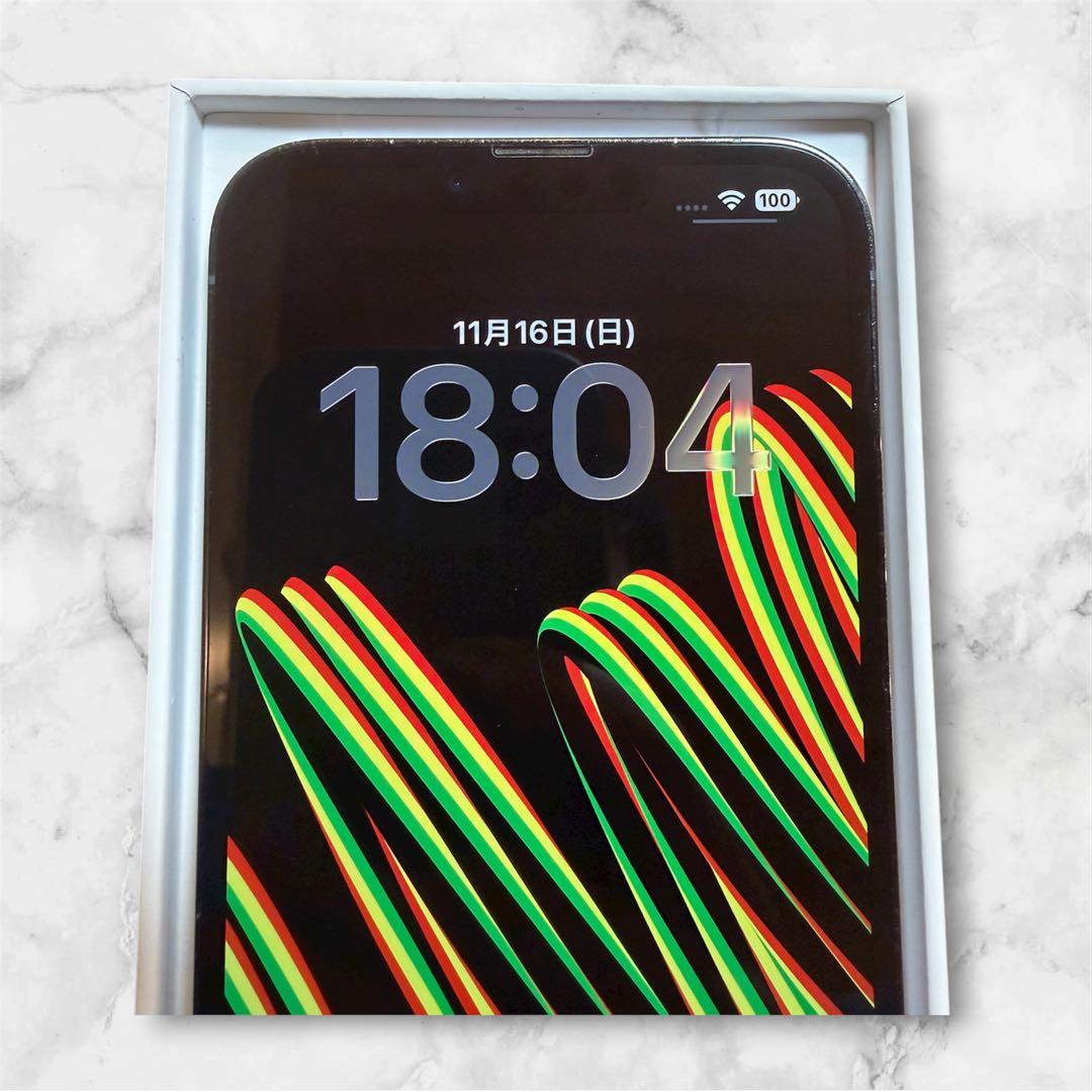 iPhone 13 Pro Max シエラブルー　128GB